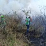 Sofocan incendio que consumió 13 hectáreas de pastizal en Tamiahua