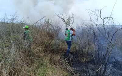 Sofocan incendio que consumió 13 hectáreas de pastizal en Tamiahua