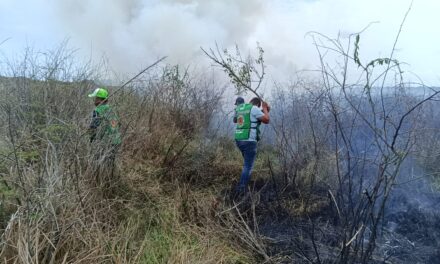 Sofocan incendio que consumió 13 hectáreas de pastizal en Tamiahua