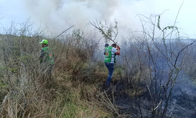 Sofocan incendio que consumió 13 hectáreas de pastizal en Tamiahua
