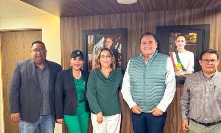 Pilar Guzmán gestiona proyectos de infraestructura para impulsar el desarrollo de Tamiahua