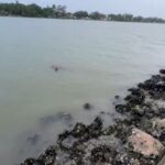 Continúa sin identificar hombre hallado sin vida en el río Tuxpan