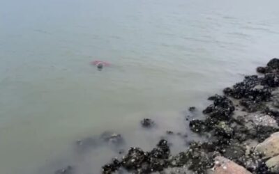 Continúa sin identificar hombre hallado sin vida en el río Tuxpan