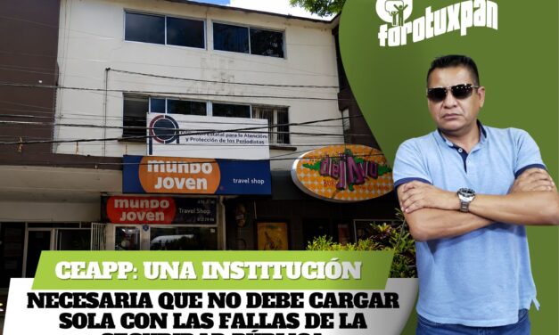 CEAPP: una institución necesaria que no debe cargar sola con las fallas de la seguridad pública