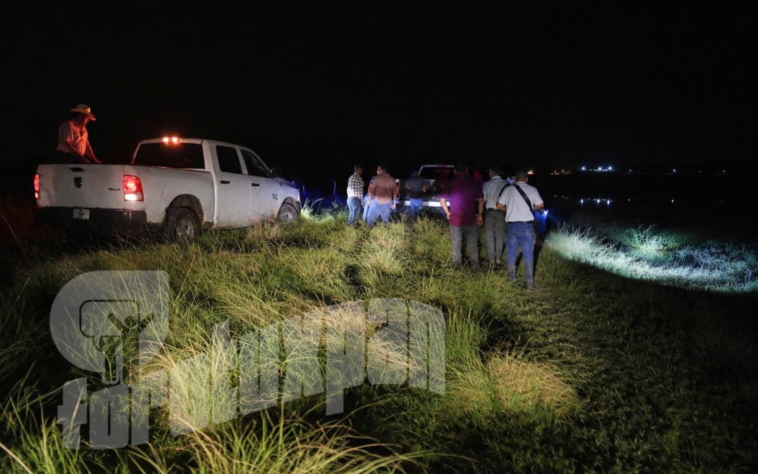 Muere campesino al intentar salvar a su yegua; un cocodrilo lo atacó en una presa de Tuxpan