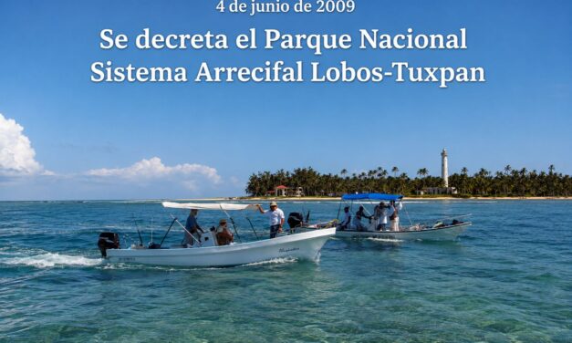 4 de junio de 2009: Nace el Parque Nacional Sistema Arrecifal Lobos-Tuxpan, el tesoro submarino de Veracruz Norte