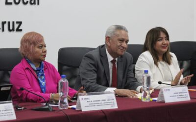 INE incorporará en septiembre a nuevos partidos nacionales; prepara plataforma con resultados históricos