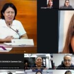 OPLE Veracruz comparte experiencia sobre Proceso Electoral Local Extraordinario Judicial con Instituto Estatal Electoral y de Participación Ciudadana de Oaxaca