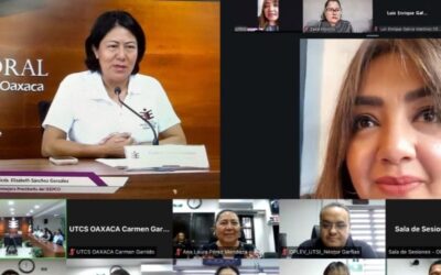 OPLE Veracruz comparte experiencia sobre Proceso Electoral Local Extraordinario Judicial con Instituto Estatal Electoral y de Participación Ciudadana de Oaxaca