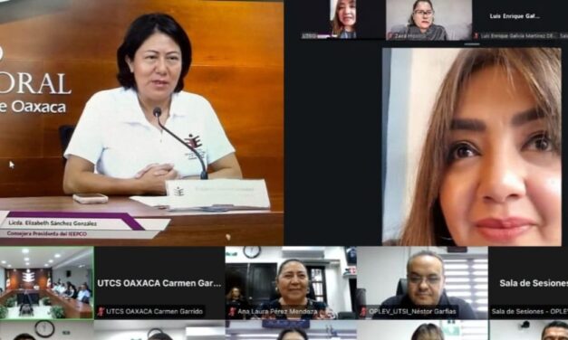 OPLE Veracruz comparte experiencia sobre Proceso Electoral Local Extraordinario Judicial con Instituto Estatal Electoral y de Participación Ciudadana de Oaxaca