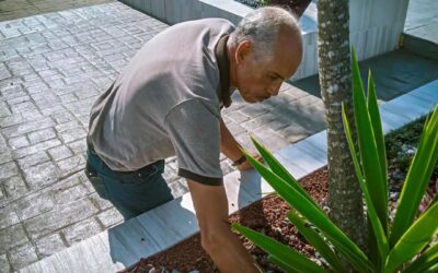 Servicios Generales realiza trabajos de mantenimiento para mejorar la imagen urbana de Tamiahua