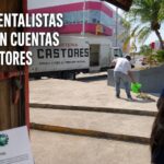 Ambientalistas condenan intento de llevarse una iguana en Tuxpan y exigen cuentas a Grupo Castores