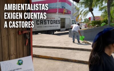 Ambientalistas condenan intento de llevarse una iguana en Tuxpan y exigen cuentas a Grupo Castores