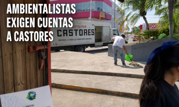 Ambientalistas condenan intento de llevarse una iguana en Tuxpan y exigen cuentas a Grupo Castores