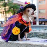 HUELLITAS DEL MICTLÁN LLENÓ DE COLOR Y TRADICIÓN EL PARQUE REFORMA