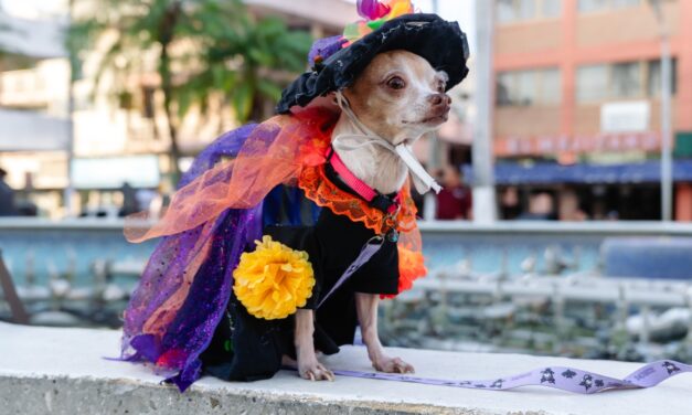 HUELLITAS DEL MICTLÁN LLENÓ DE COLOR Y TRADICIÓN EL PARQUE REFORMA