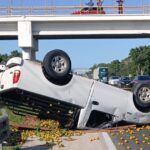 Vuelca camioneta y deja regada su carga de mandarina en la México–Tuxpan