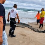 Un cocodrilo en Barra Norte: el encuentro con la vida silvestre en una playa de Tuxpan